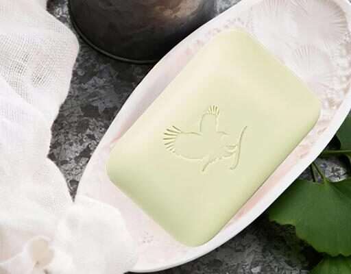 Aloe Avocado Face and Body Soap